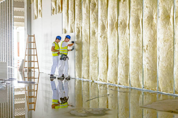 Best Attic Insulation Installation  in Moyock, NC